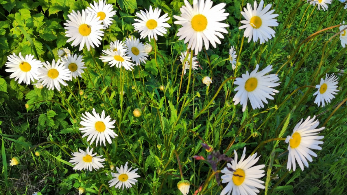 Photo by our tourist Tatyana Partsey