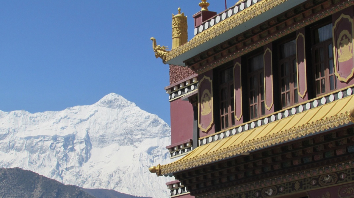 Photo by our guide Lika Maystrova