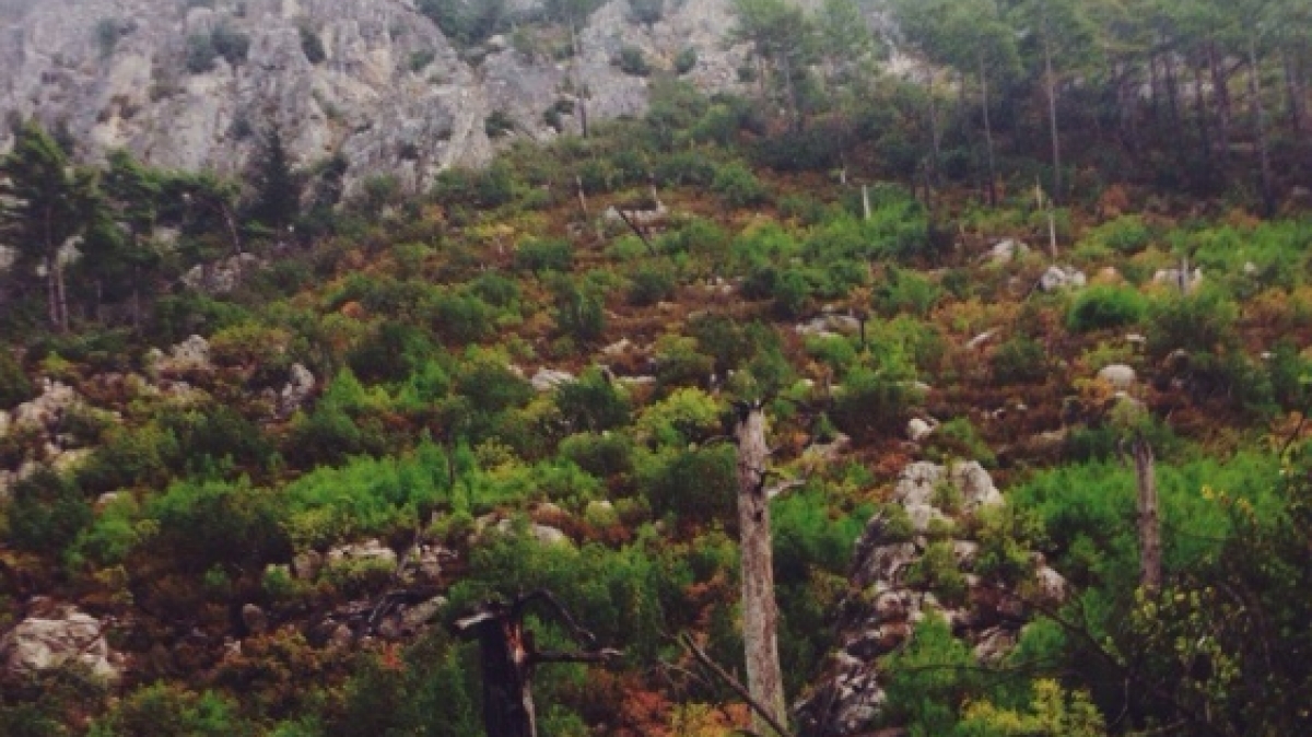 Фото Татьяны Швыряевой