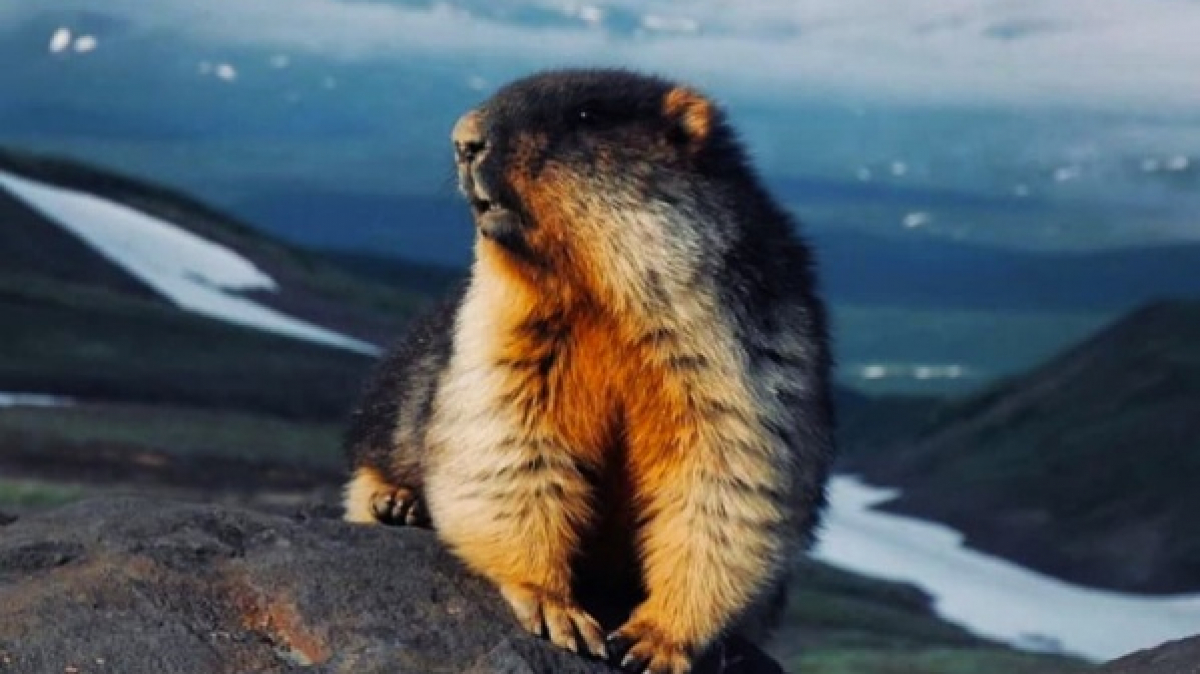 Photo by our guide Evgenia Skopina