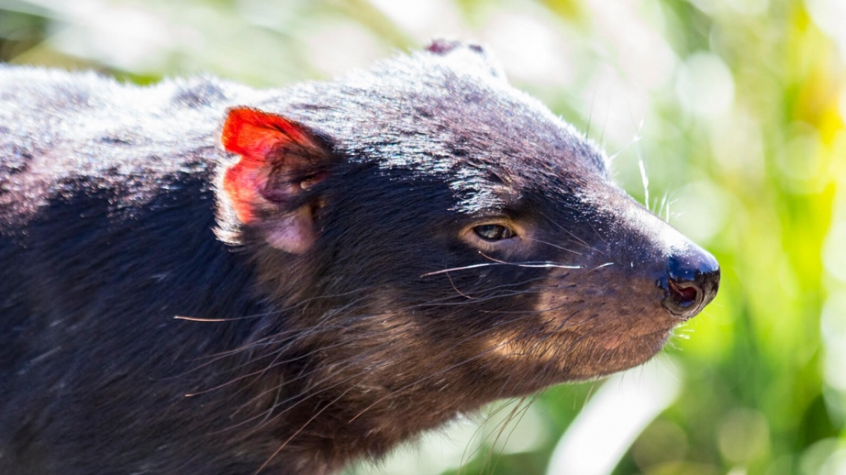 Фото: Steven Penton,  
visualhunt.com