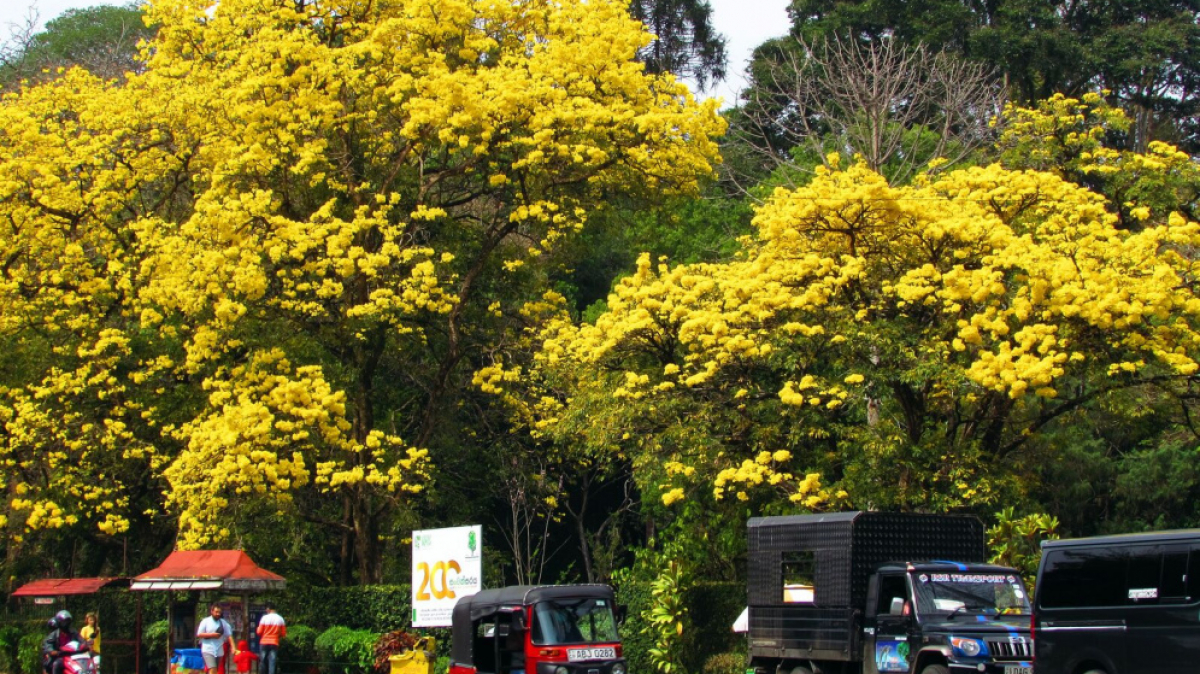 Фото нашего гида Лики Майстровой