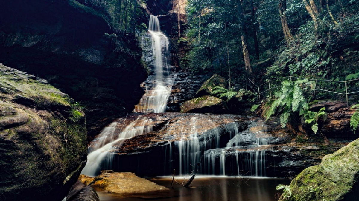 Фото: Gilly Tanabose, unsplash.com