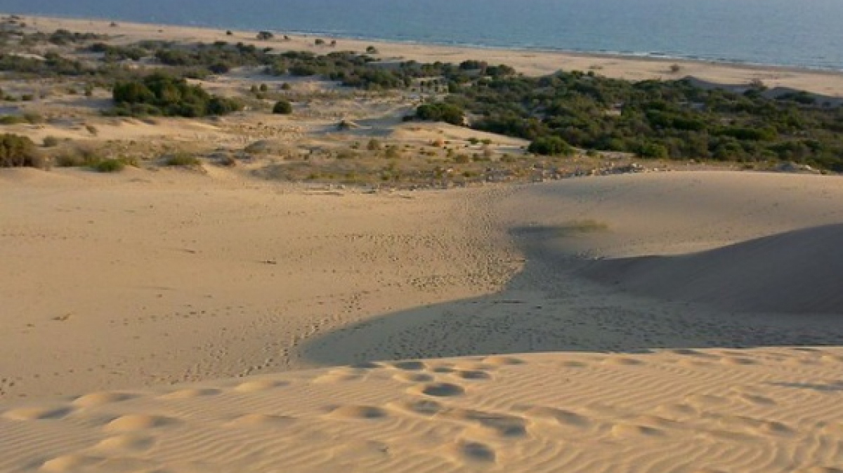 Фото: Borya, visualhunt.com