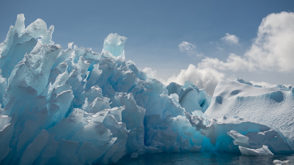 Фото: Poseidon expeditions