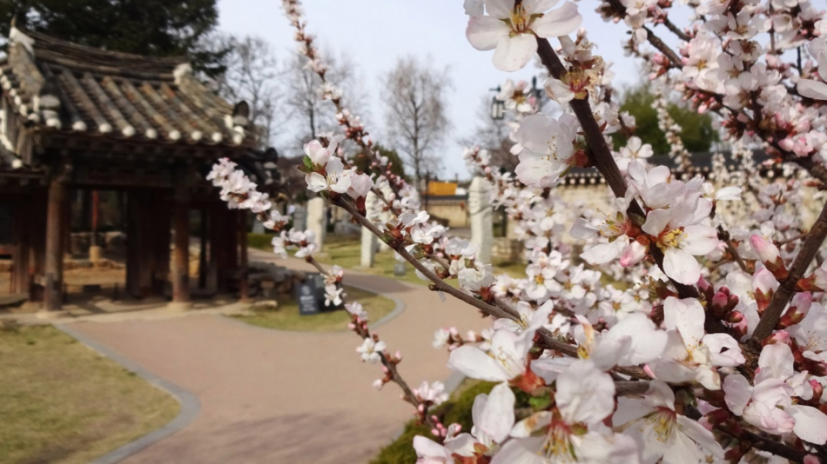 Фото нашего гида Лики Майстровой
