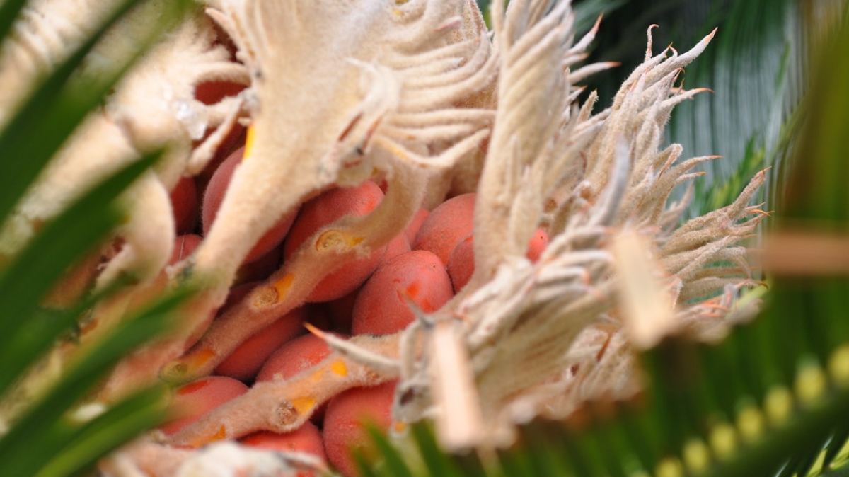 Источник фото: visualhunt.com