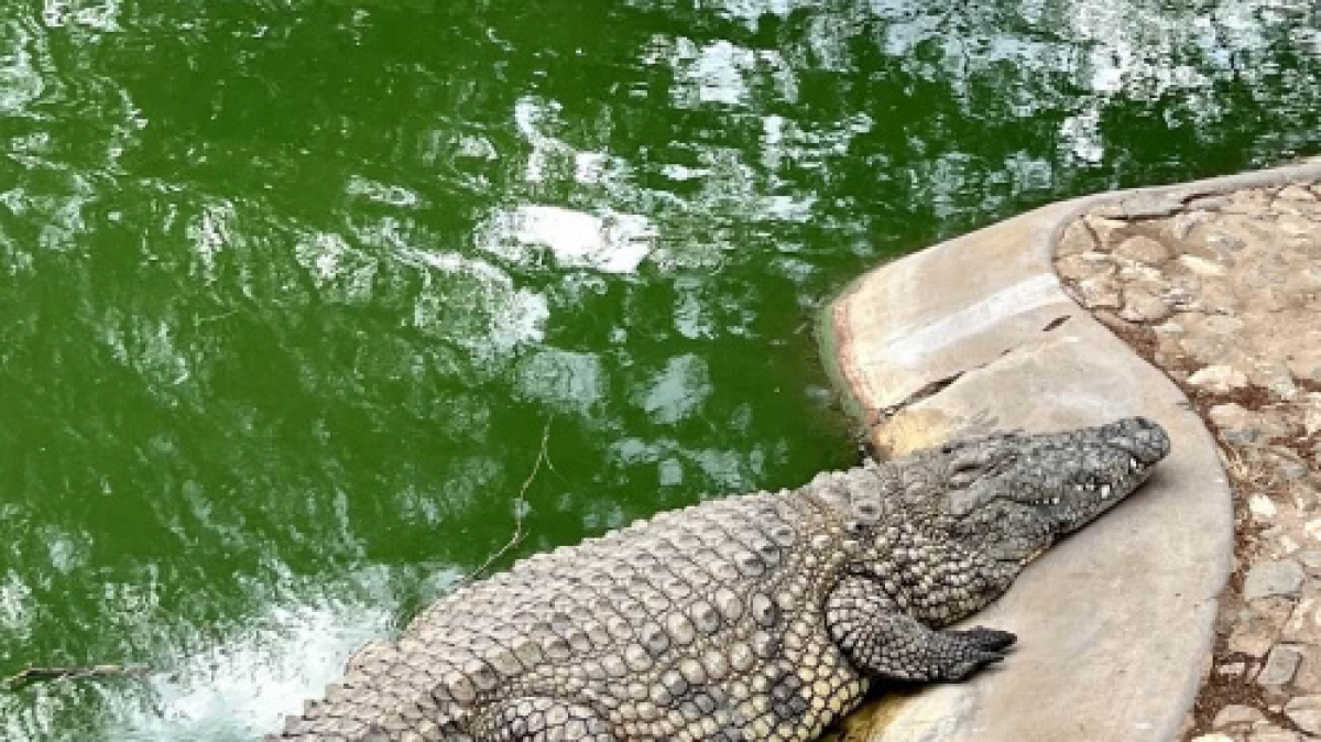 Фото: наш гид Алексей Шорец