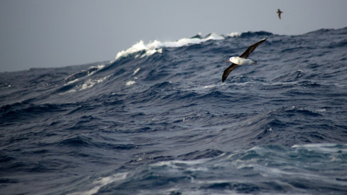 Фото: Torsten Dederichs on unsplash