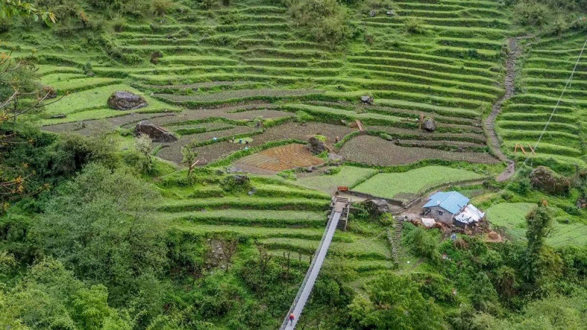 Фото: Lesly Derksen, unsplash.com