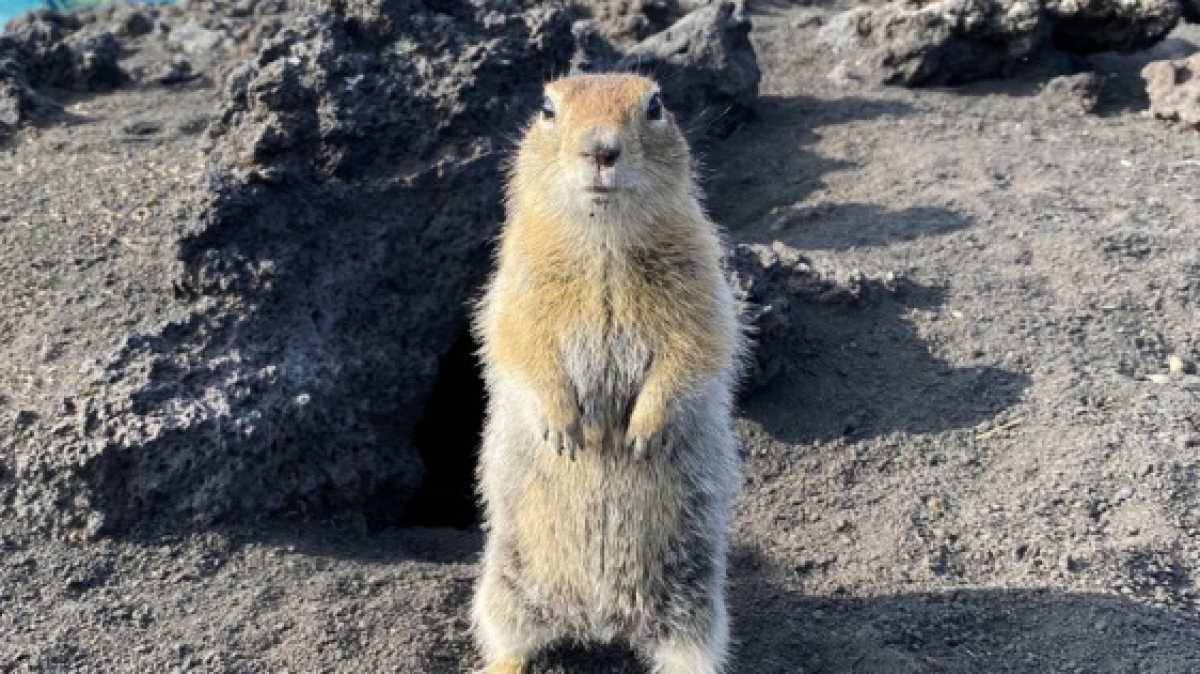 Photo by our tourists