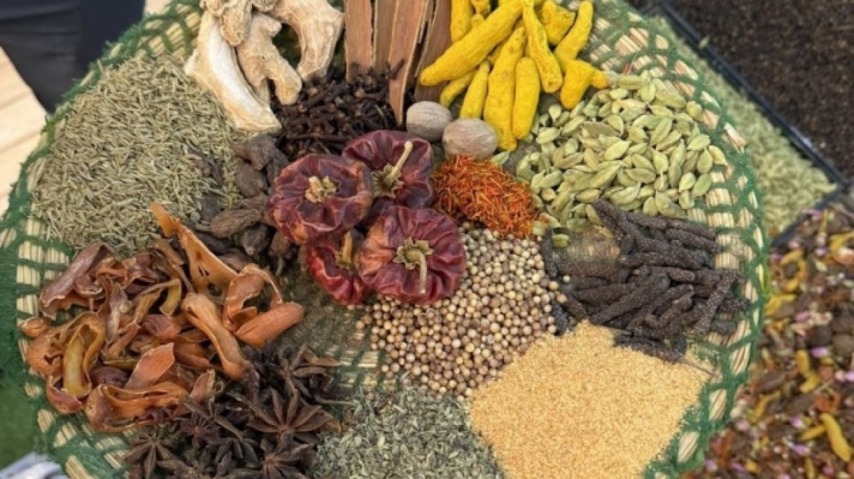 Фото нашей Странницы Светланы Пятовой