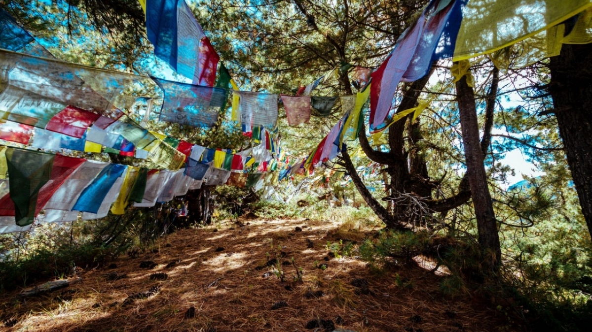 Фото Даниила Калинцева