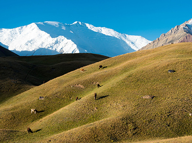 Trekking in the Pamirs and Climbing Yukhina Peak