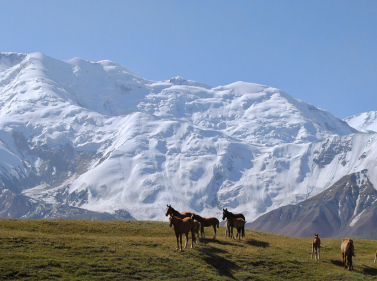 Discovering the Pamirs (without backpacks)