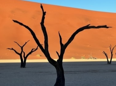 All of Namibia in 12 Days