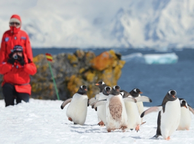 New Year in Antarctica