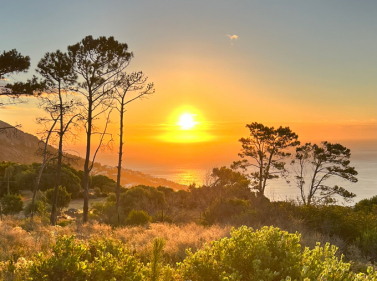 Cape Town: Introduction to South Africa