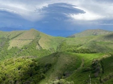 Trekking in Dilijan (without backpacks and tents)