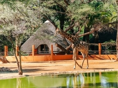 The Best of Namibia in 10 Days