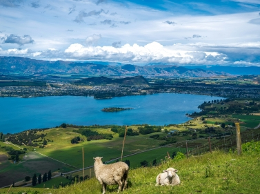 New Year in New Zealand