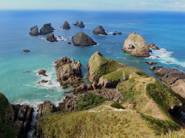 Wild New Zealand with a Maori Guide
