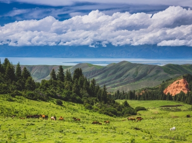 Grand Tour around Kyrgyzstan