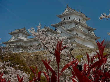 Best of Japan in 9 Days