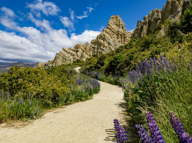 All of New Zealand in 13 days